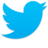 Twitter Icon